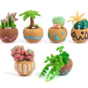 Beginner Succulent Wool Felting 6pc Kit | Portable Travel Stress Relief Toy | Handmade DIY Kits